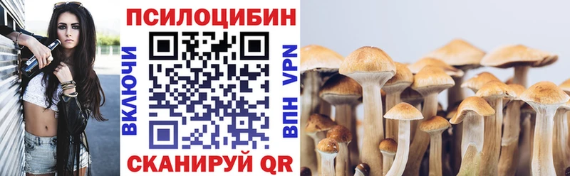 Галлюциногенные грибы MAGIC MUSHROOMS  Купить закладки  Энем 